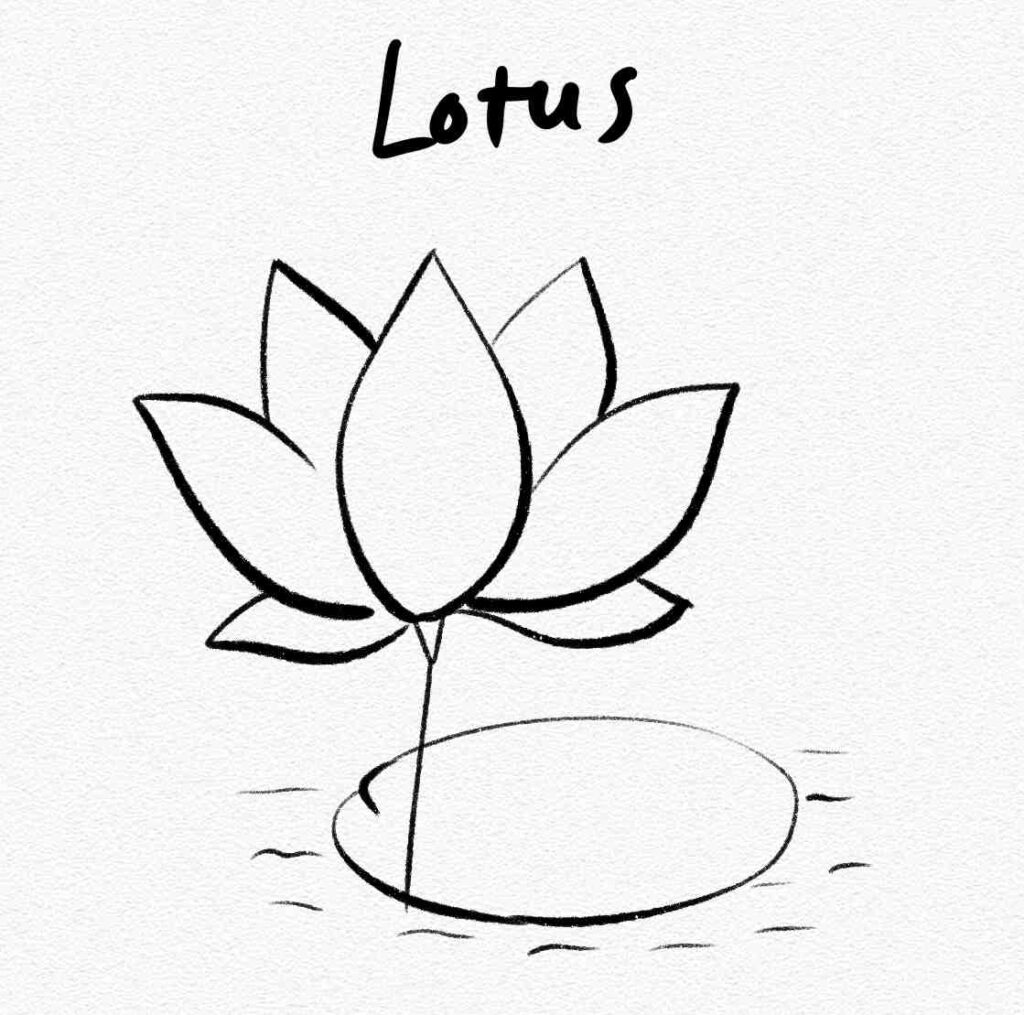 Lotus