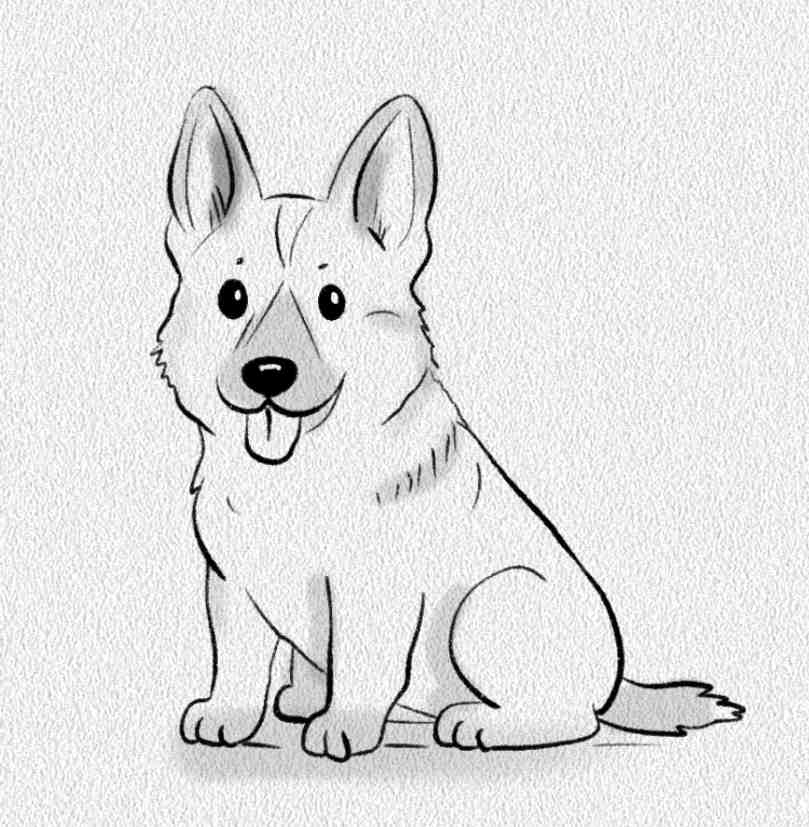 German Shepherd