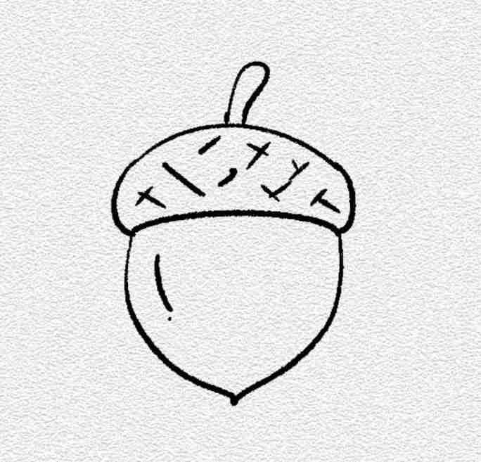 Mini Acorn