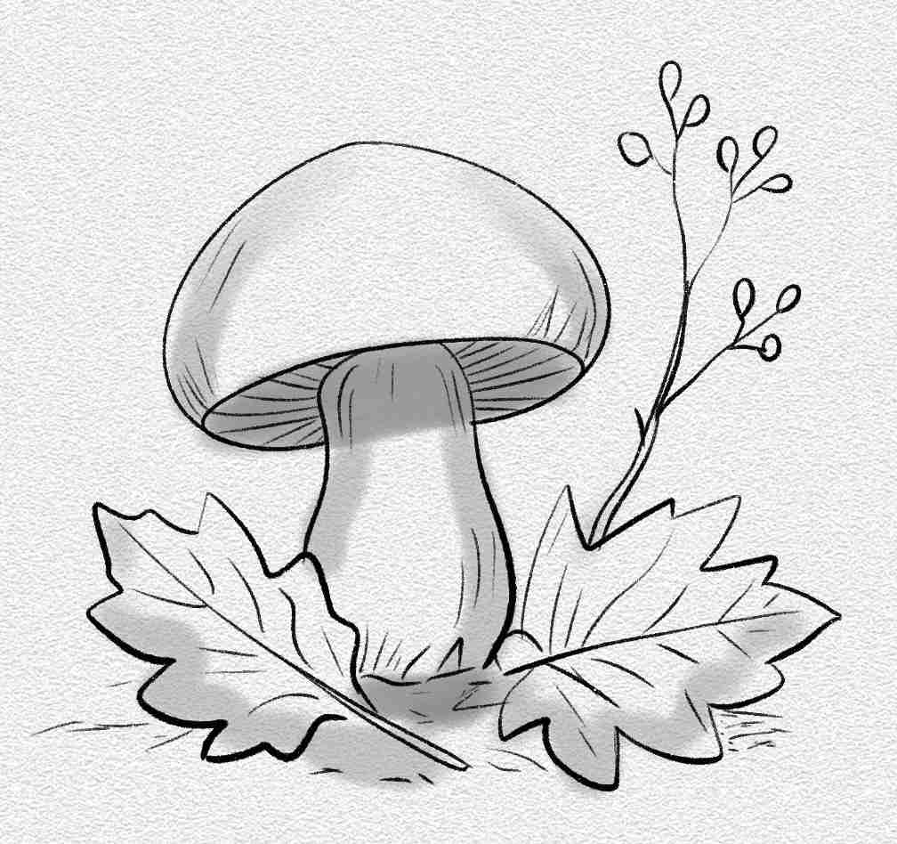Autumn Forest Mushroom Scene