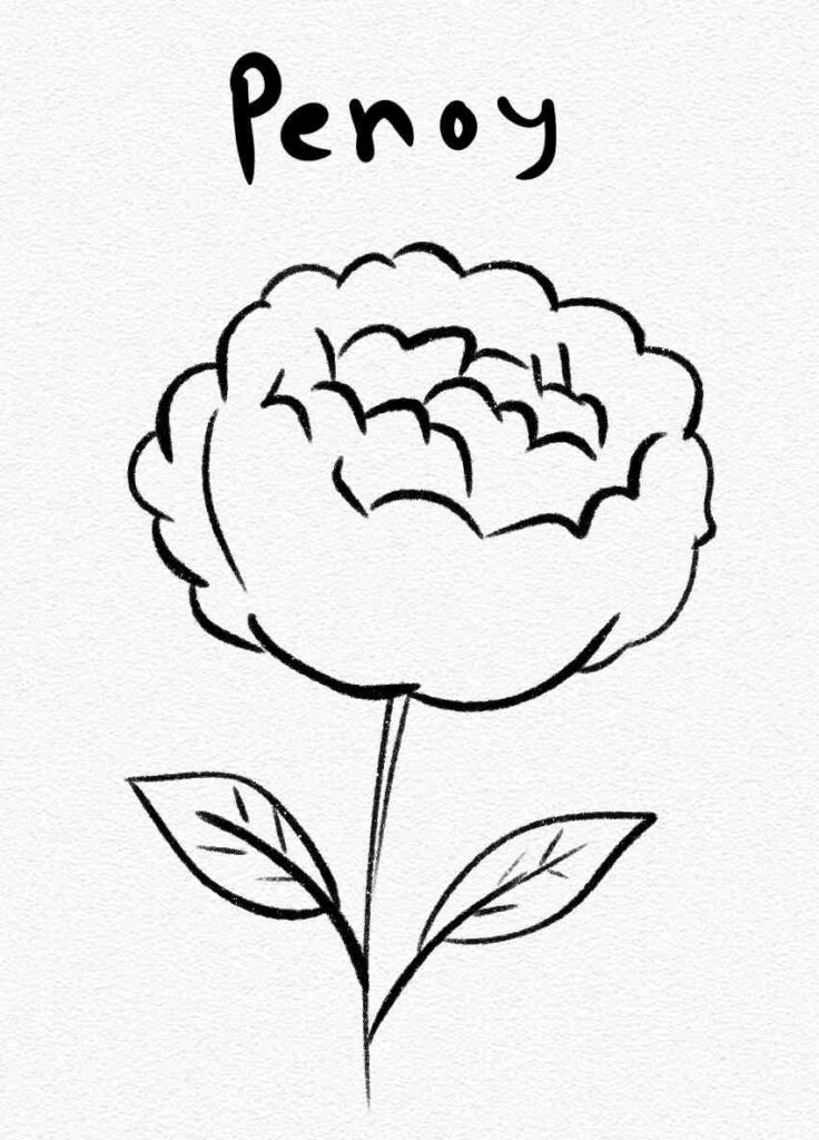 Peony