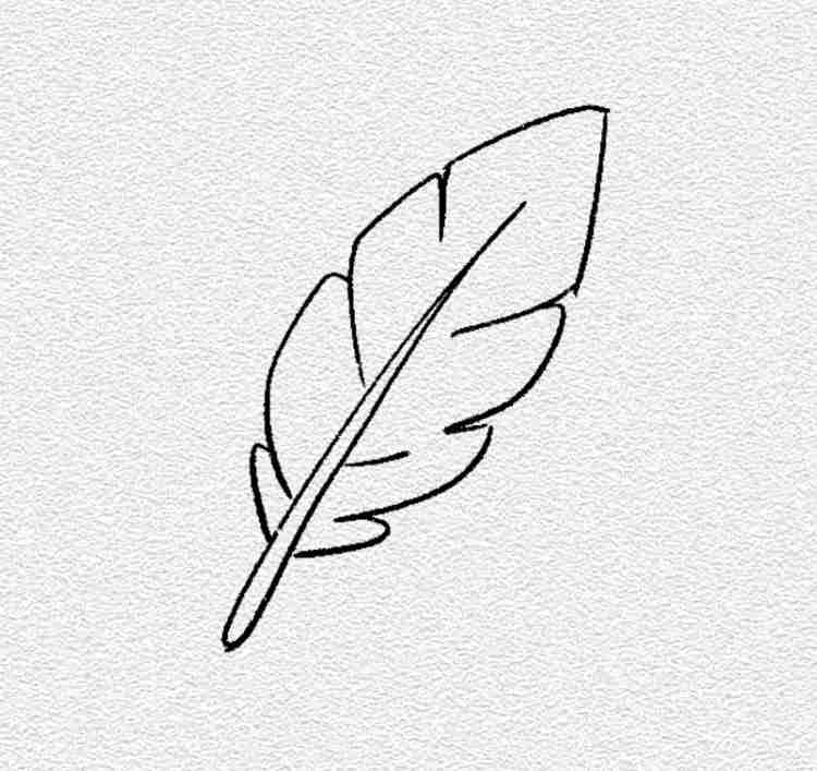 Tiny Feather