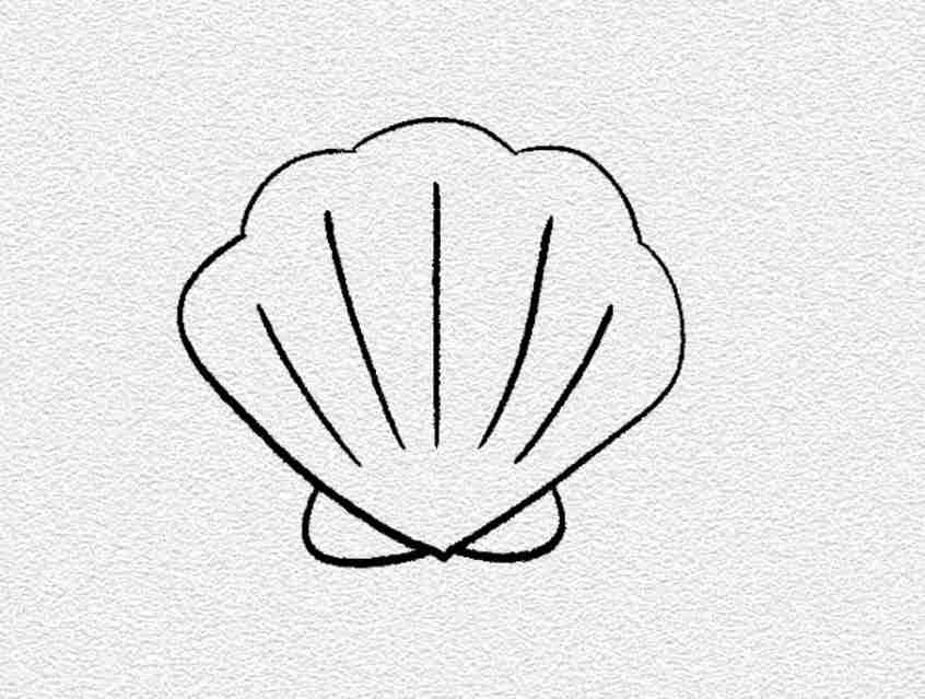 Mini Seashell