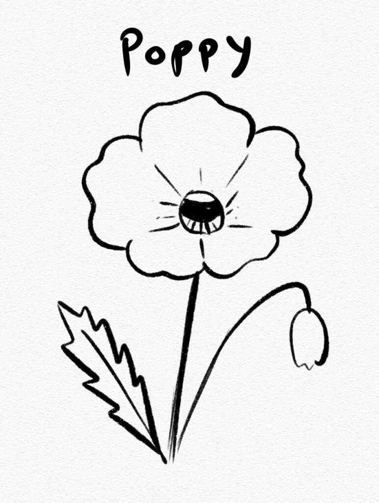 Poppy