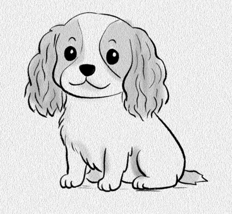 Cavalier King Charles Spaniel