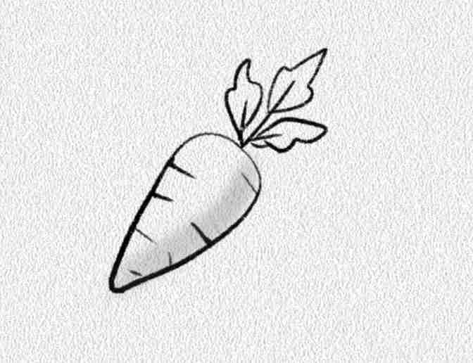 Carrot