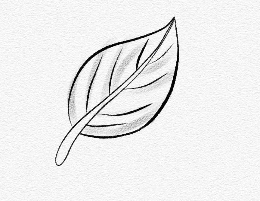 Leaf