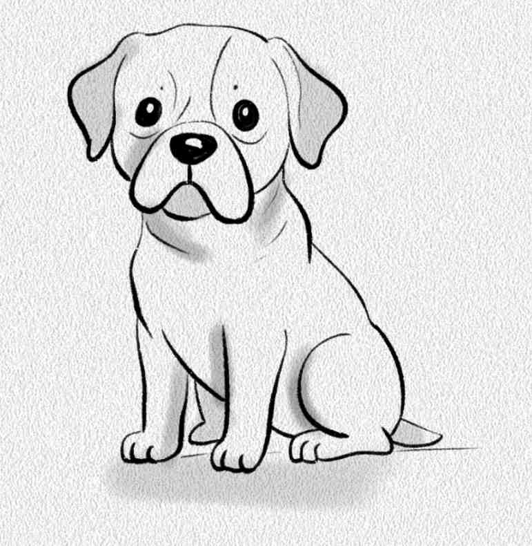 Boxer