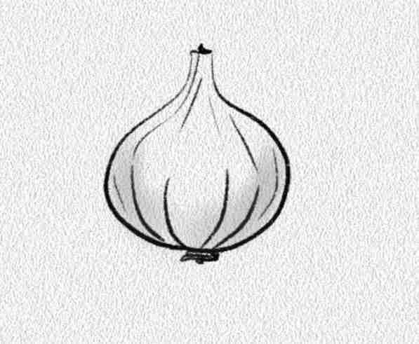 Onion