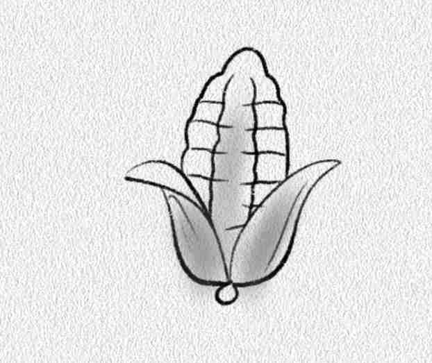 Corn