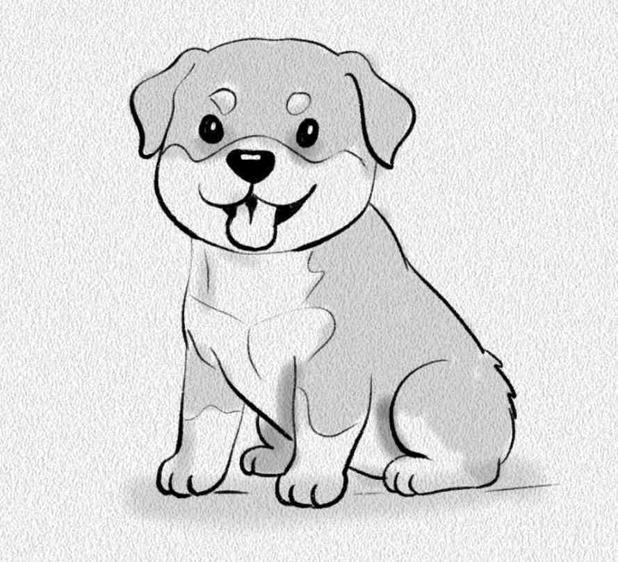 Rottweiler