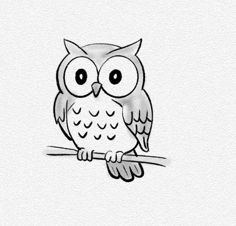 Owl