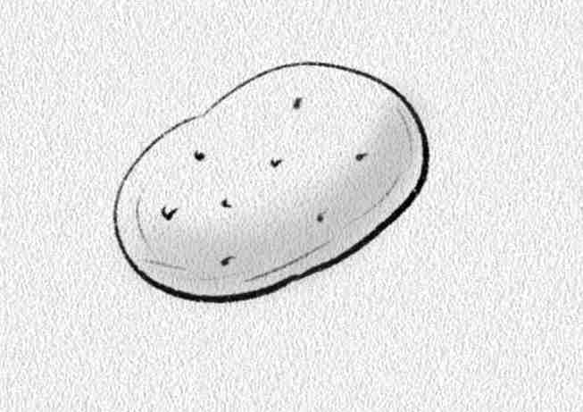 Potato