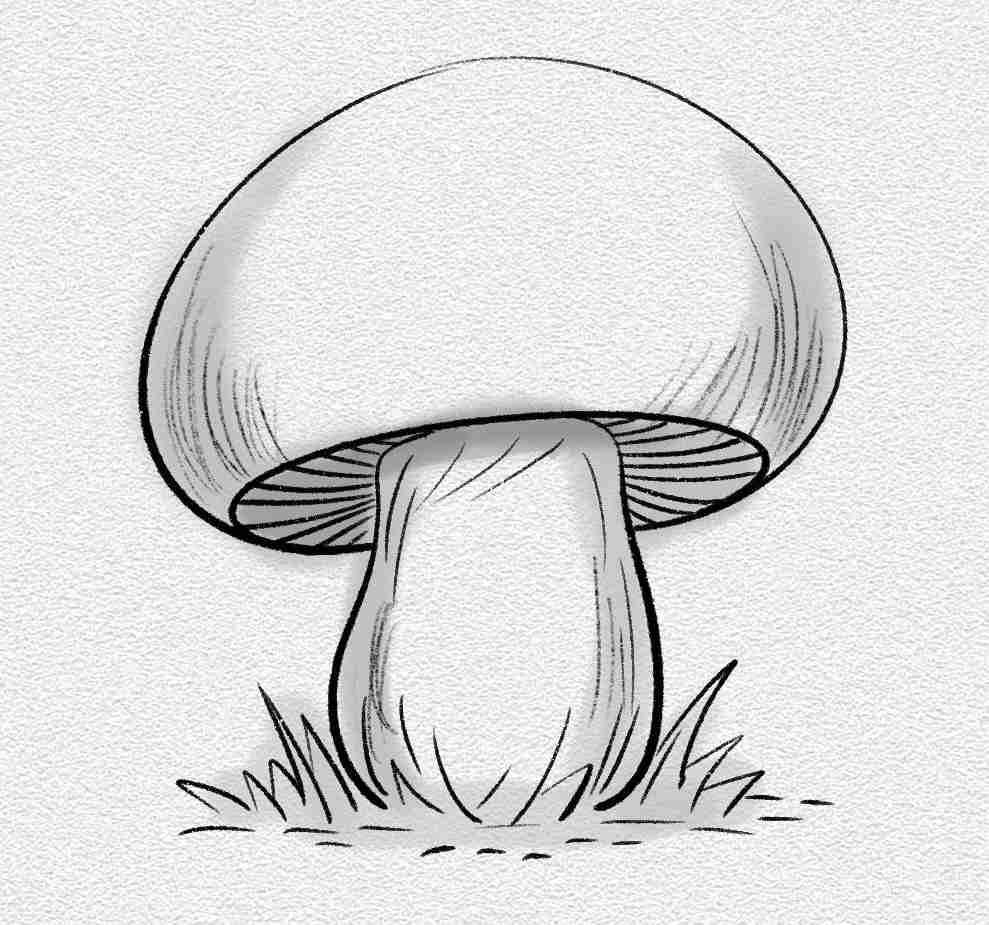 Classic Button Mushroom