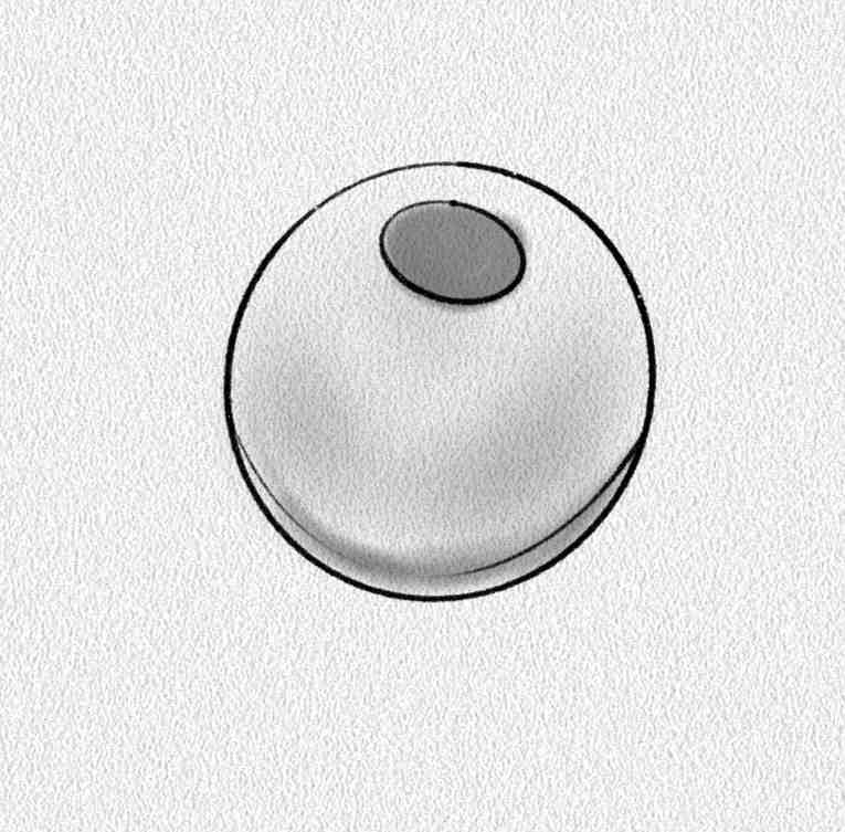 Bead