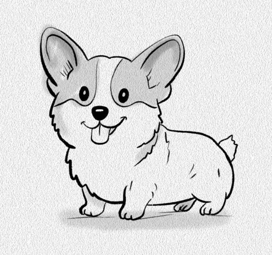 Pembroke Welsh Corgi