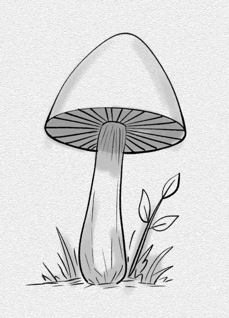 Tall Forest Mushroom