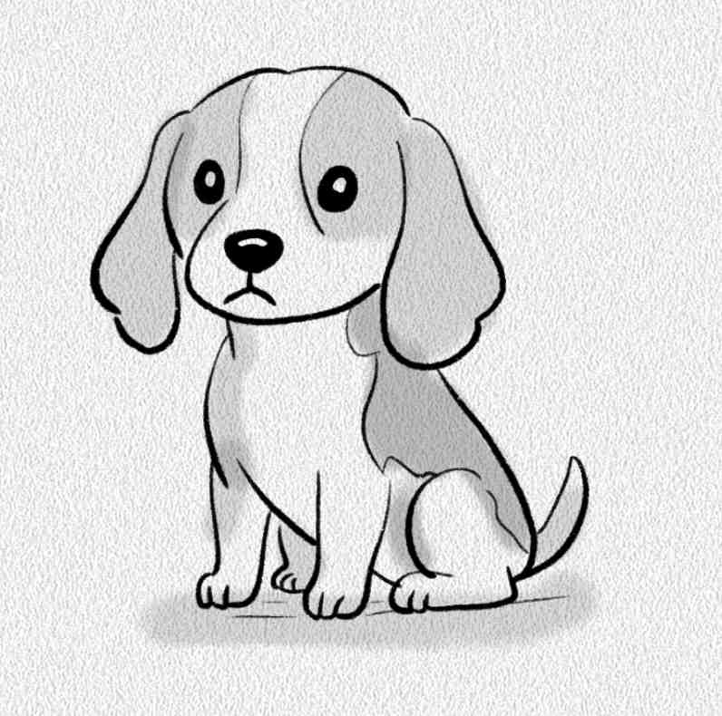 Beagle