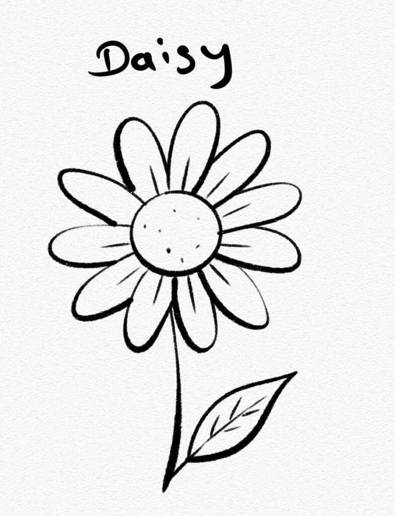 Daisy