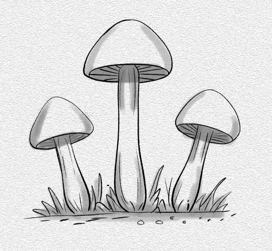 Tiny Mushroom Cluster
