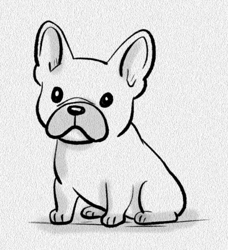 French Bulldog