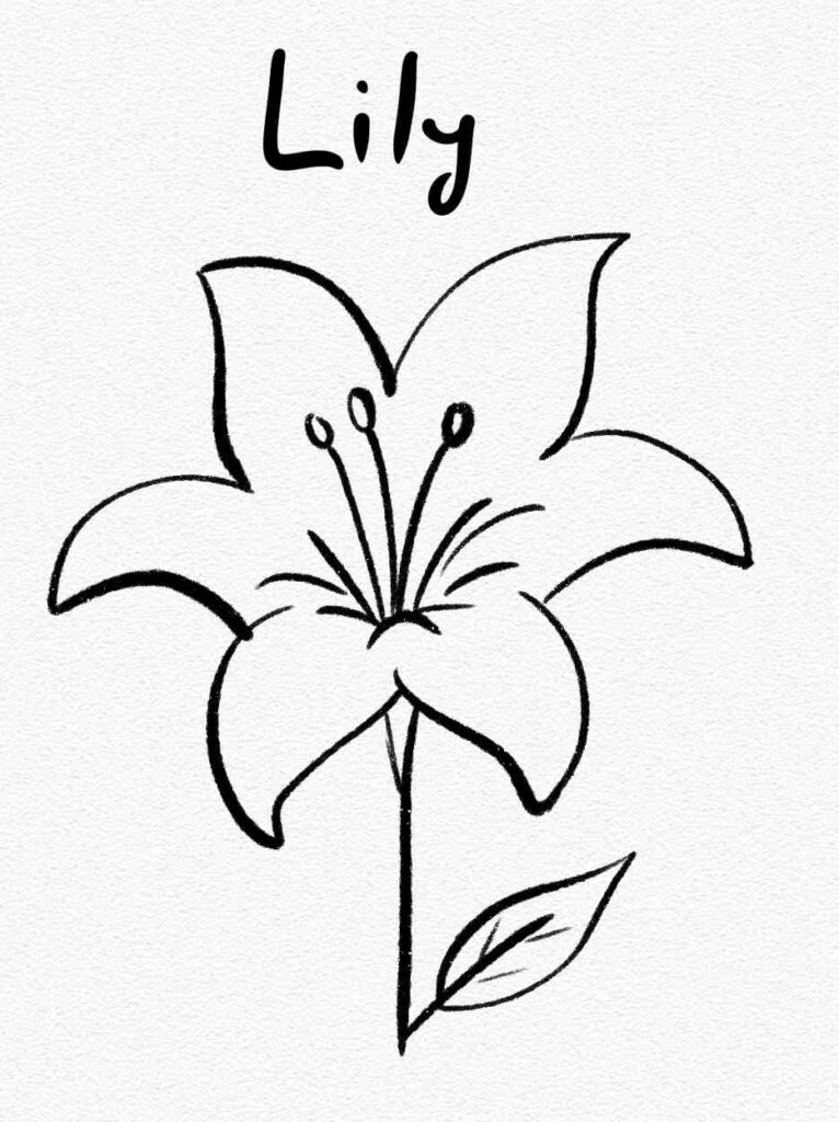 Lily