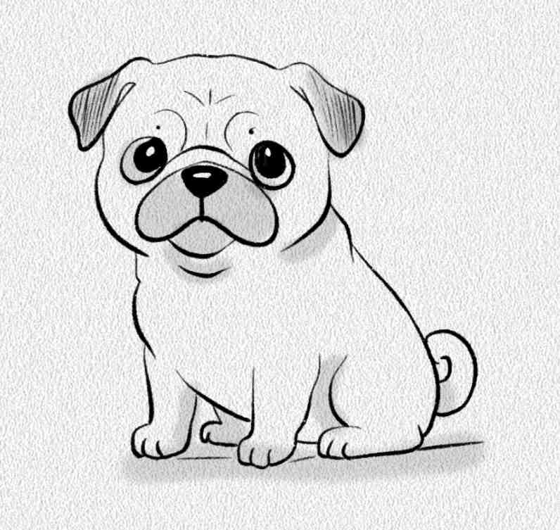 Pug