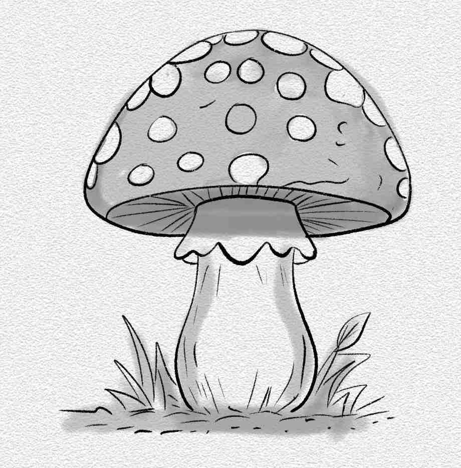 Spotted Fly Agaric Mushroom