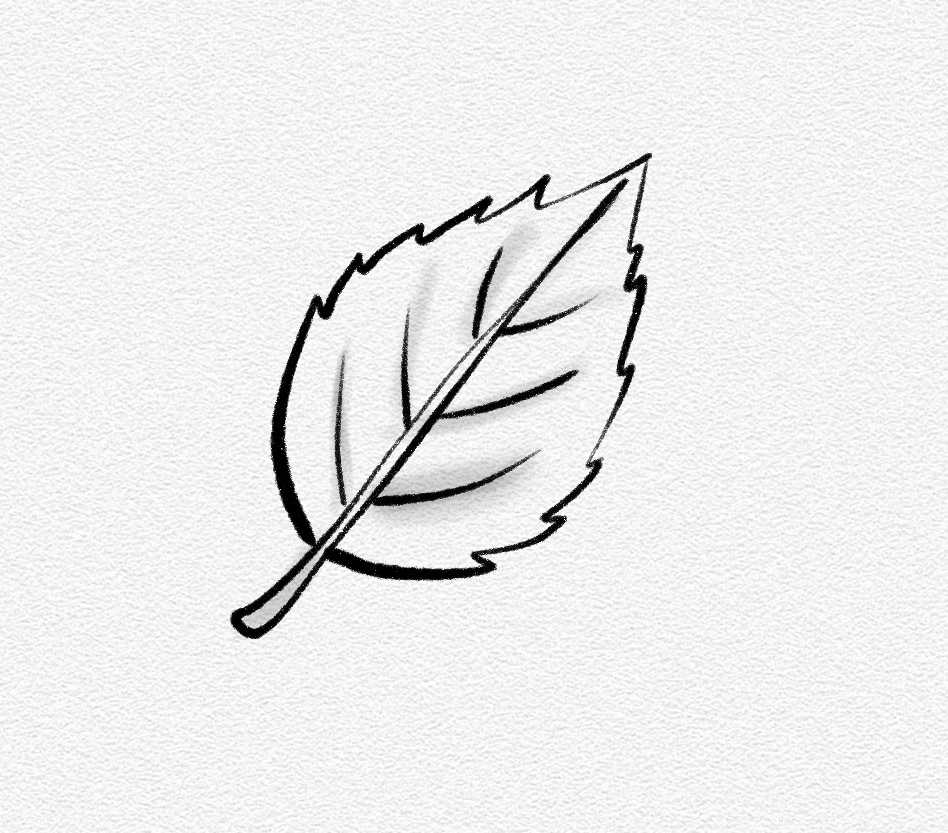 Leaf