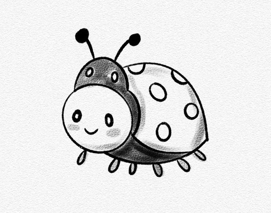 Ladybug
