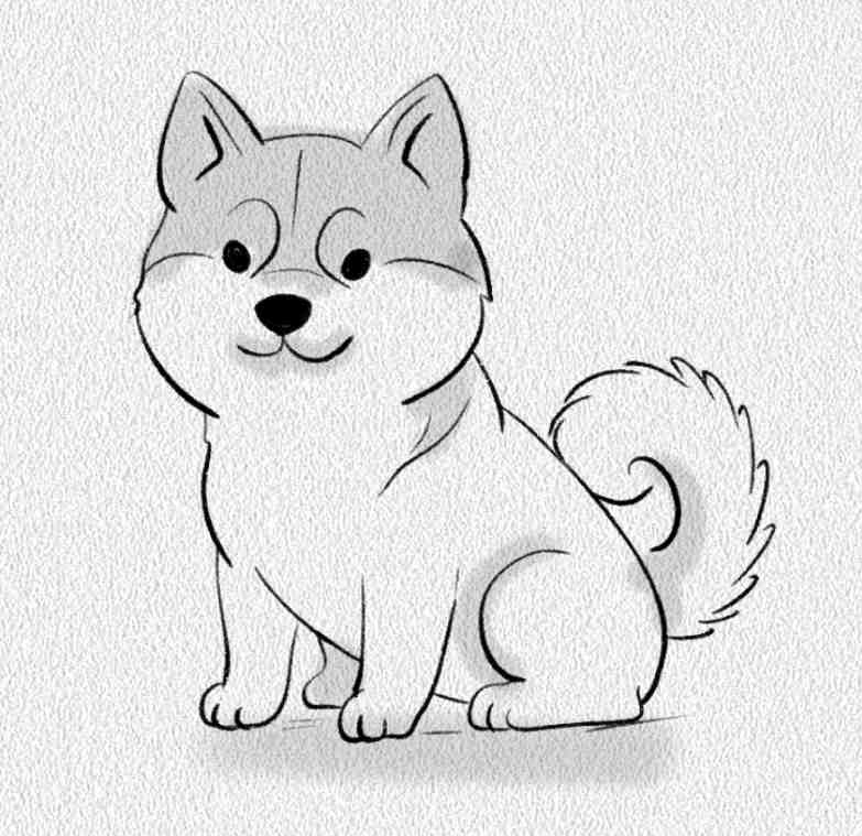 Shiba Inu