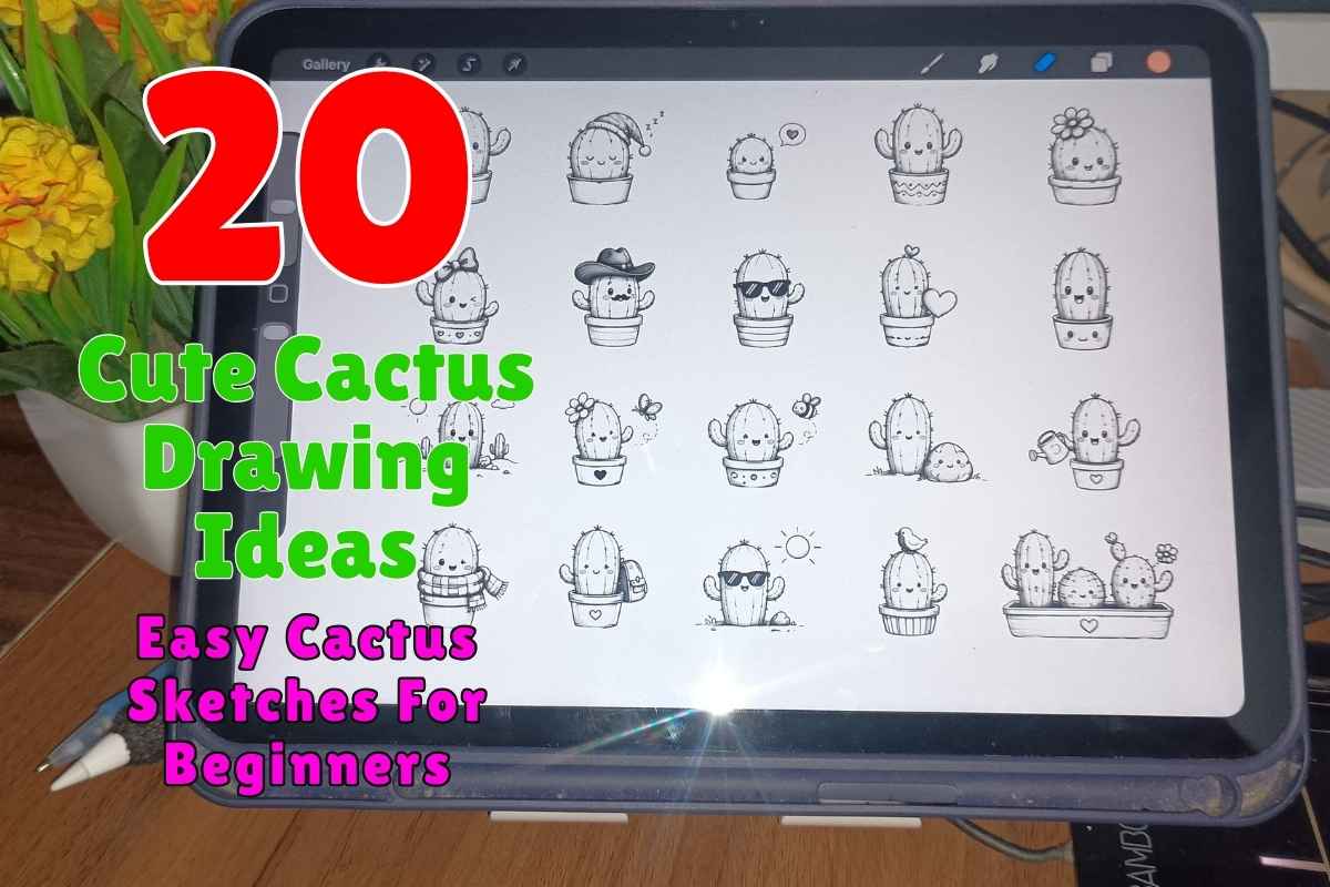 20 Cute Cactus Drawing Ideas Easy Cactus Sketches for Beginners