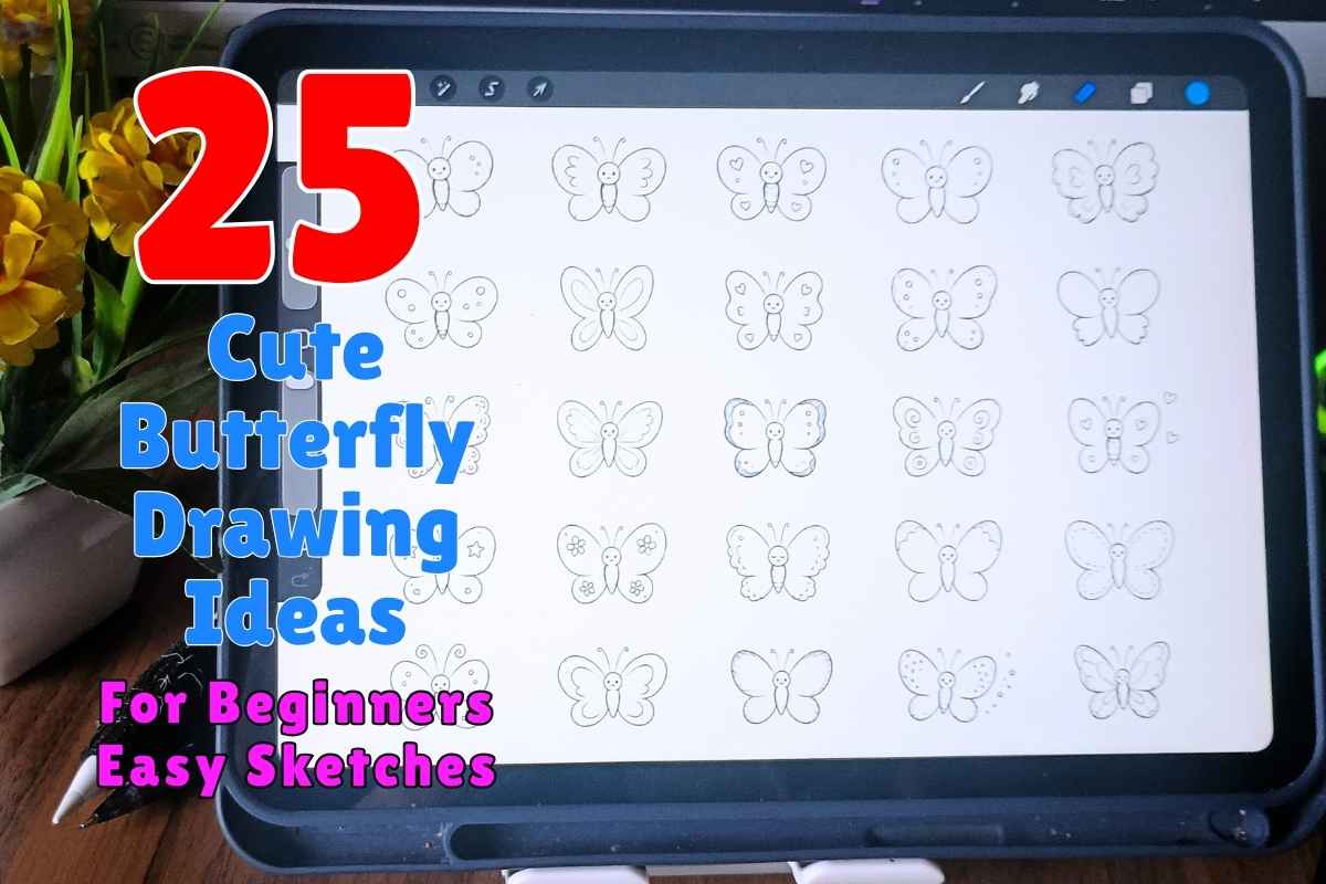 25 Cute Butterfly Drawing Ideas for Beginners