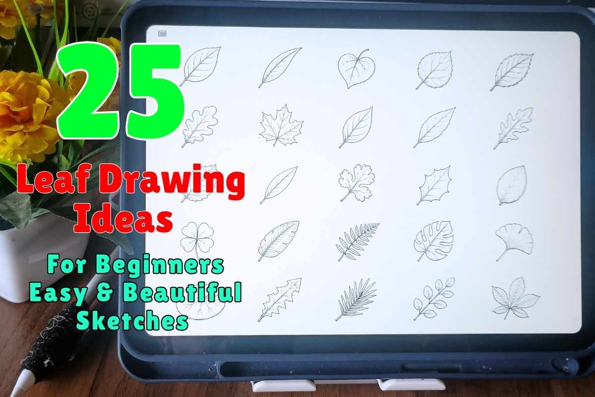 25 Leaf Drawing Ideas for Beginners