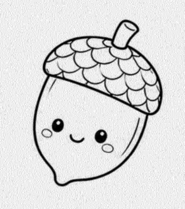 Acorn