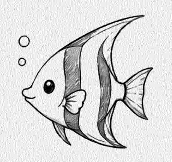 Angelfish
