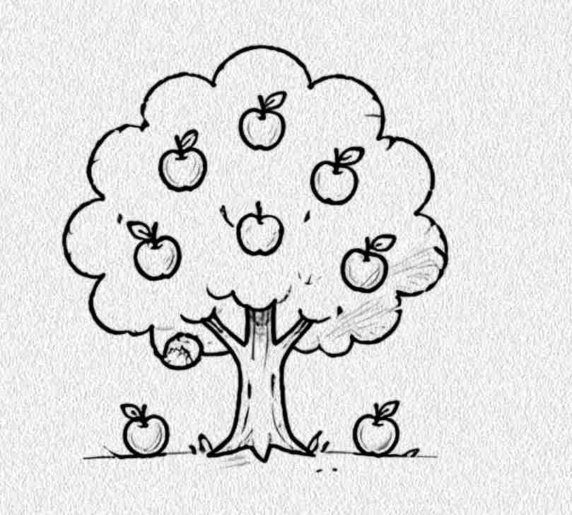 Apple Tree