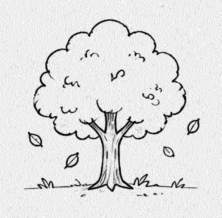 Autumn Tree