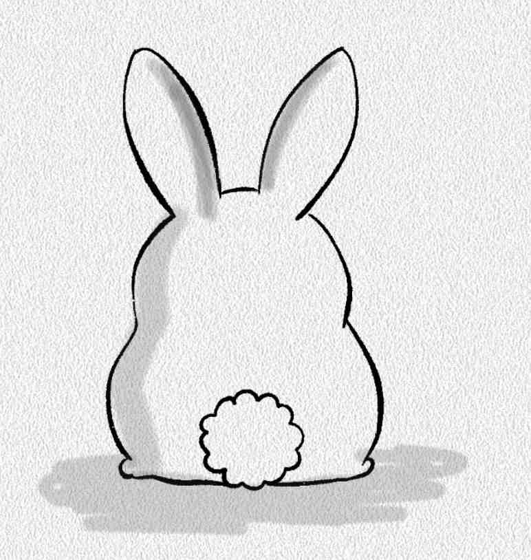 Back View Bunny