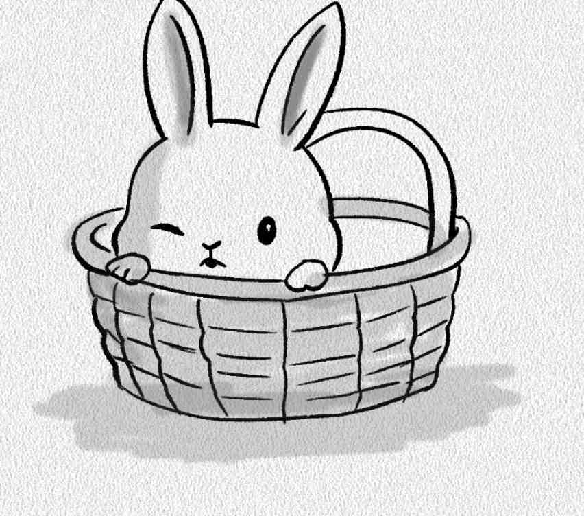 Basket Bunny