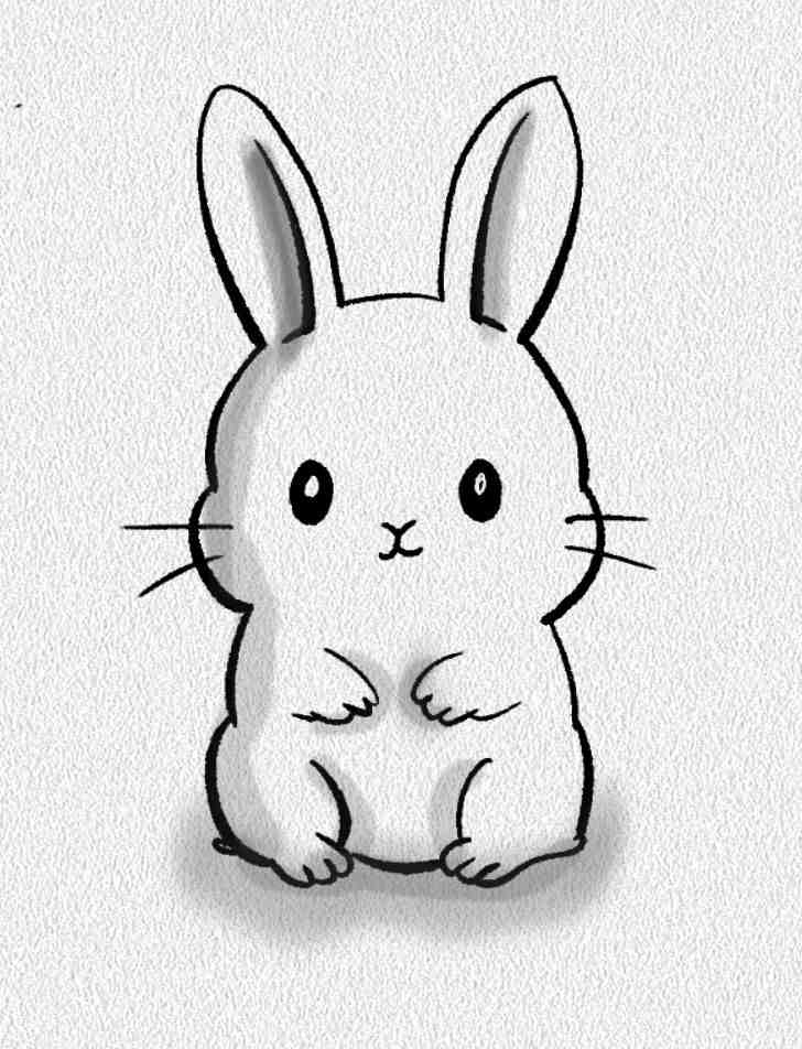 Begging Bunny