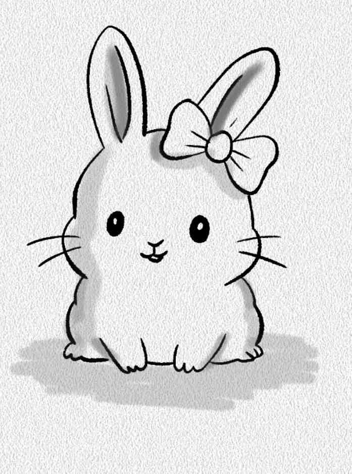 Bow Bunny