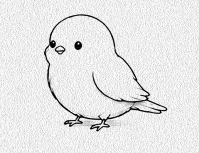 Canary