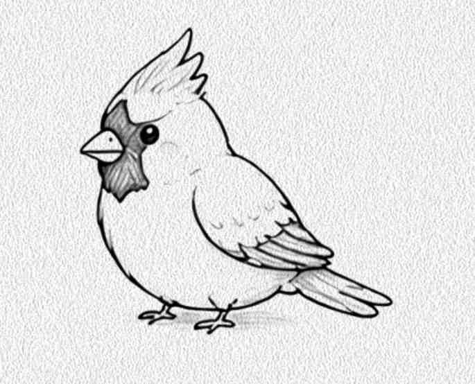 Cardinal