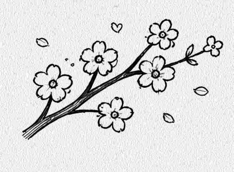 Cherry Blossom Branch