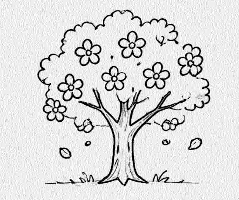 Cherry Blossom Tree