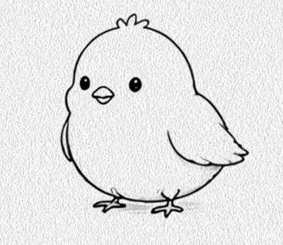 Chick