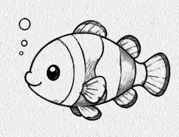 Clownfish