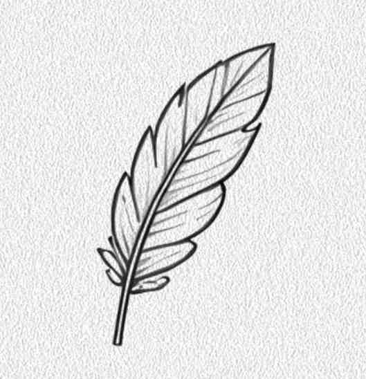 Feather