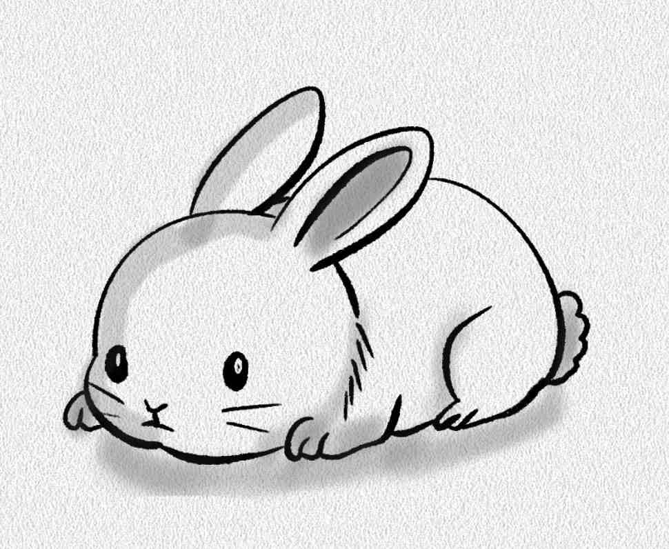 Floppy Bunny